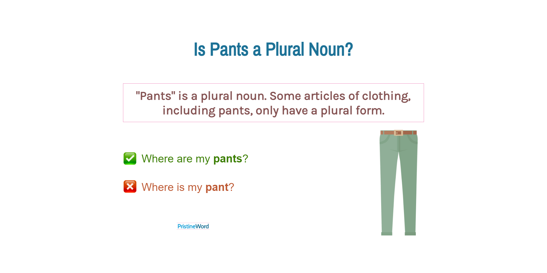 Pants Are Or Pants Is Which Is Correct
