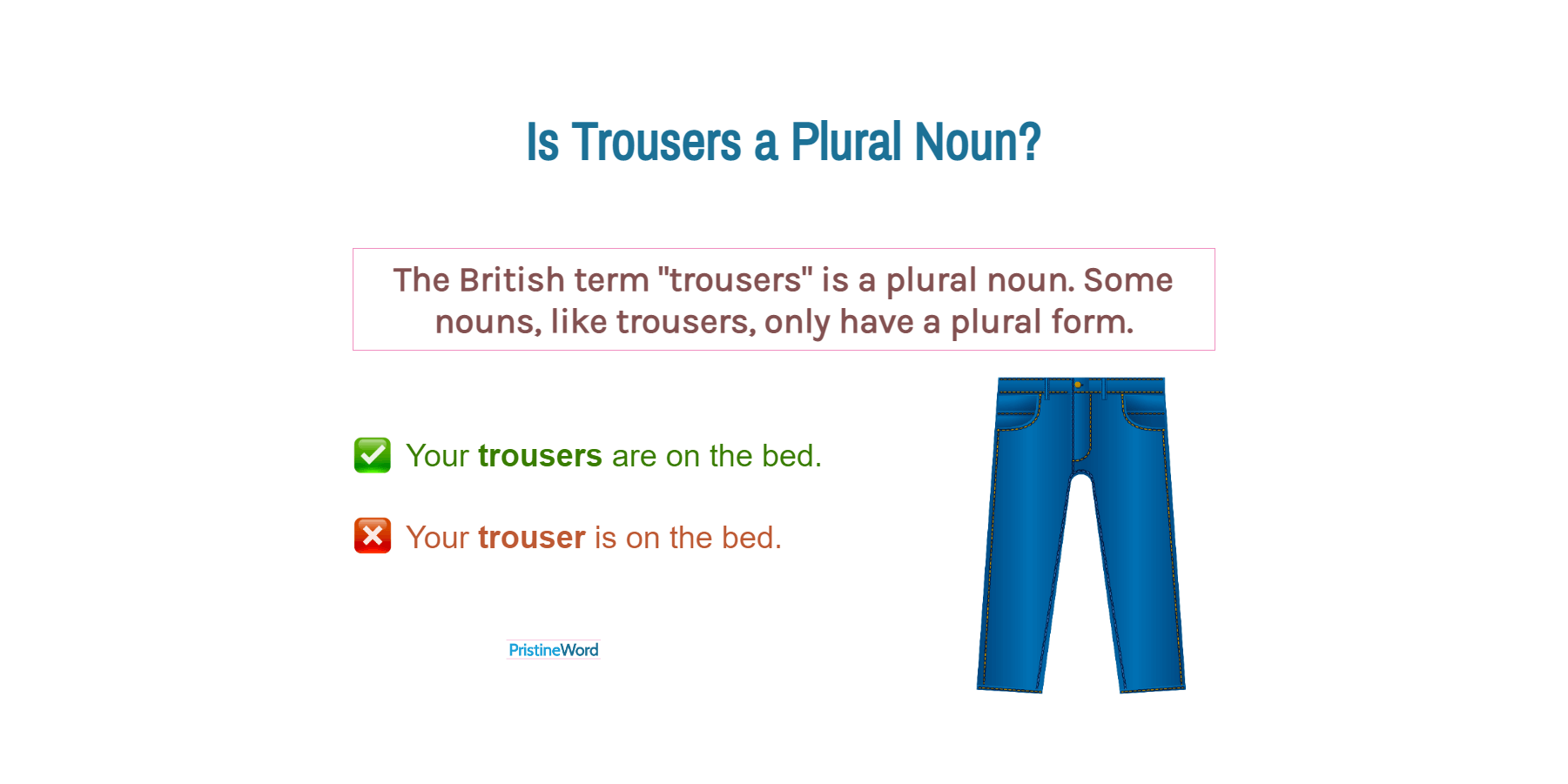 Discover more than 70 plural for trousers