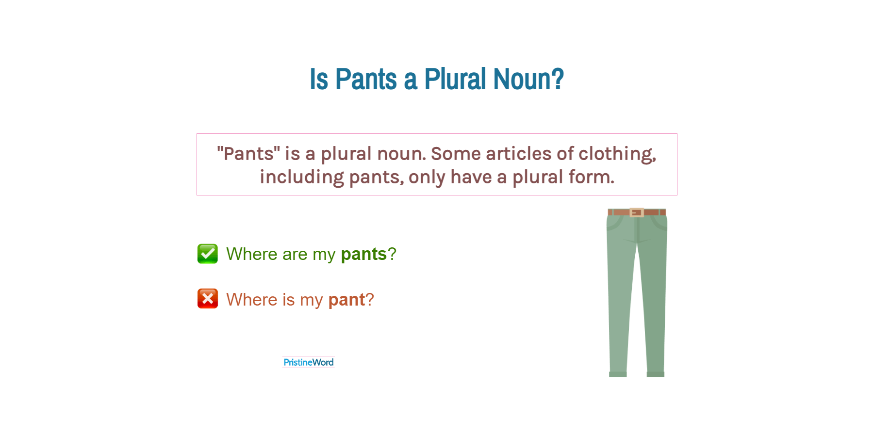 Is Pants a Plural Noun?