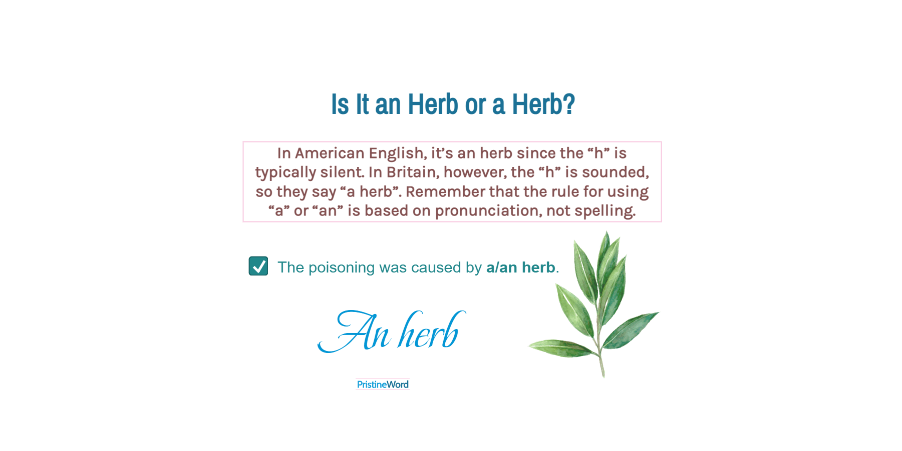 Is It an Herb or a Herb?
