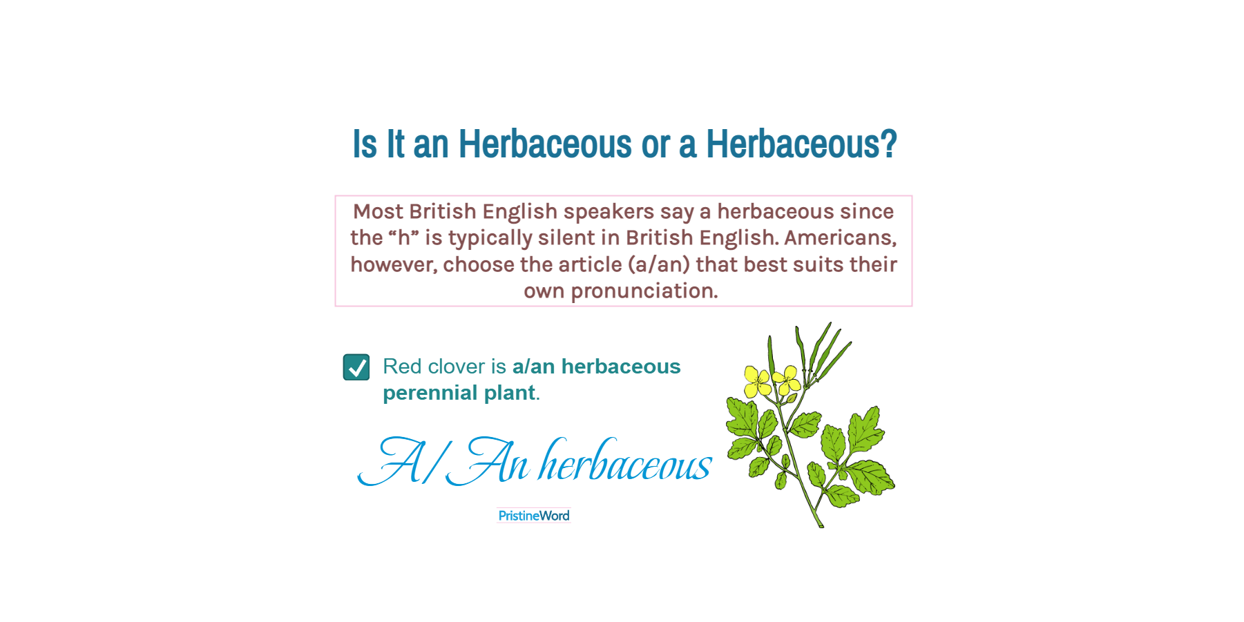 Is It a Herbaceous or an Herbaceous?
