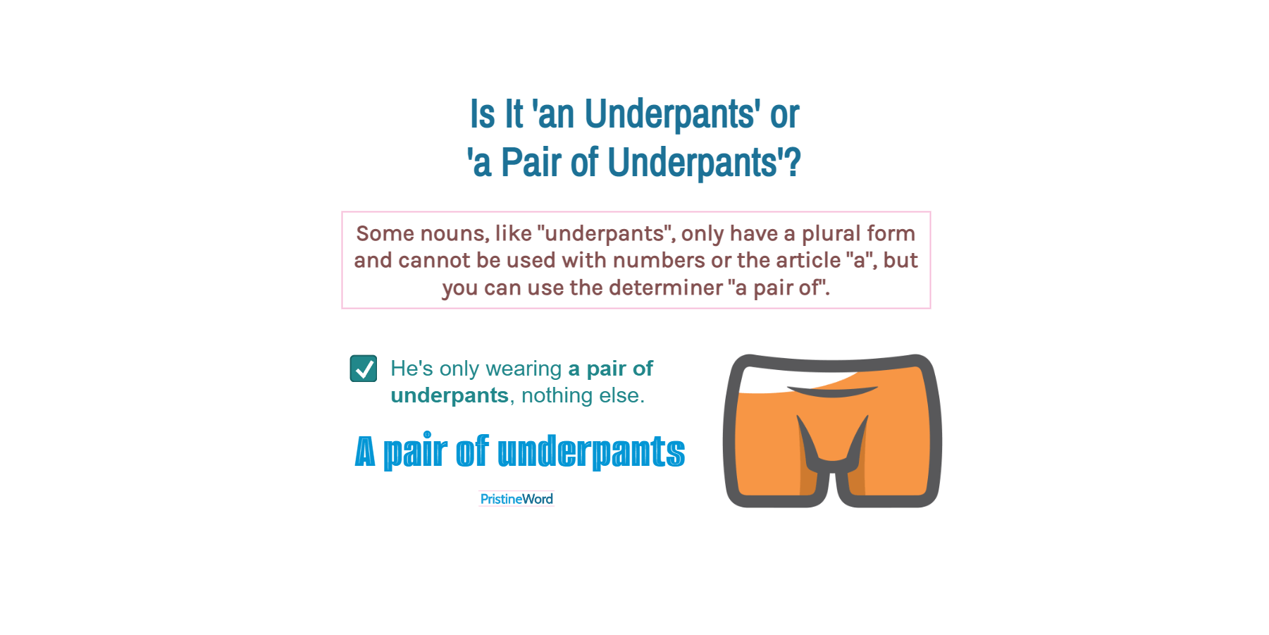'An Underpants' or 'a Pair of Underpants'. Which Is Correct?