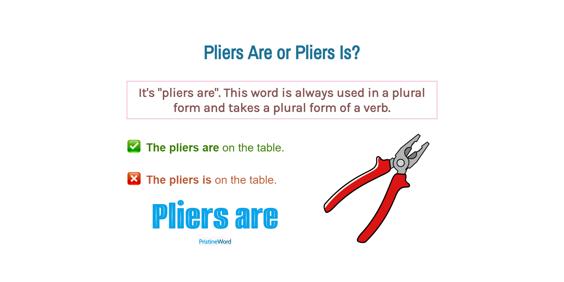 Pliers Are Or Pliers Is. Which Is Correct?