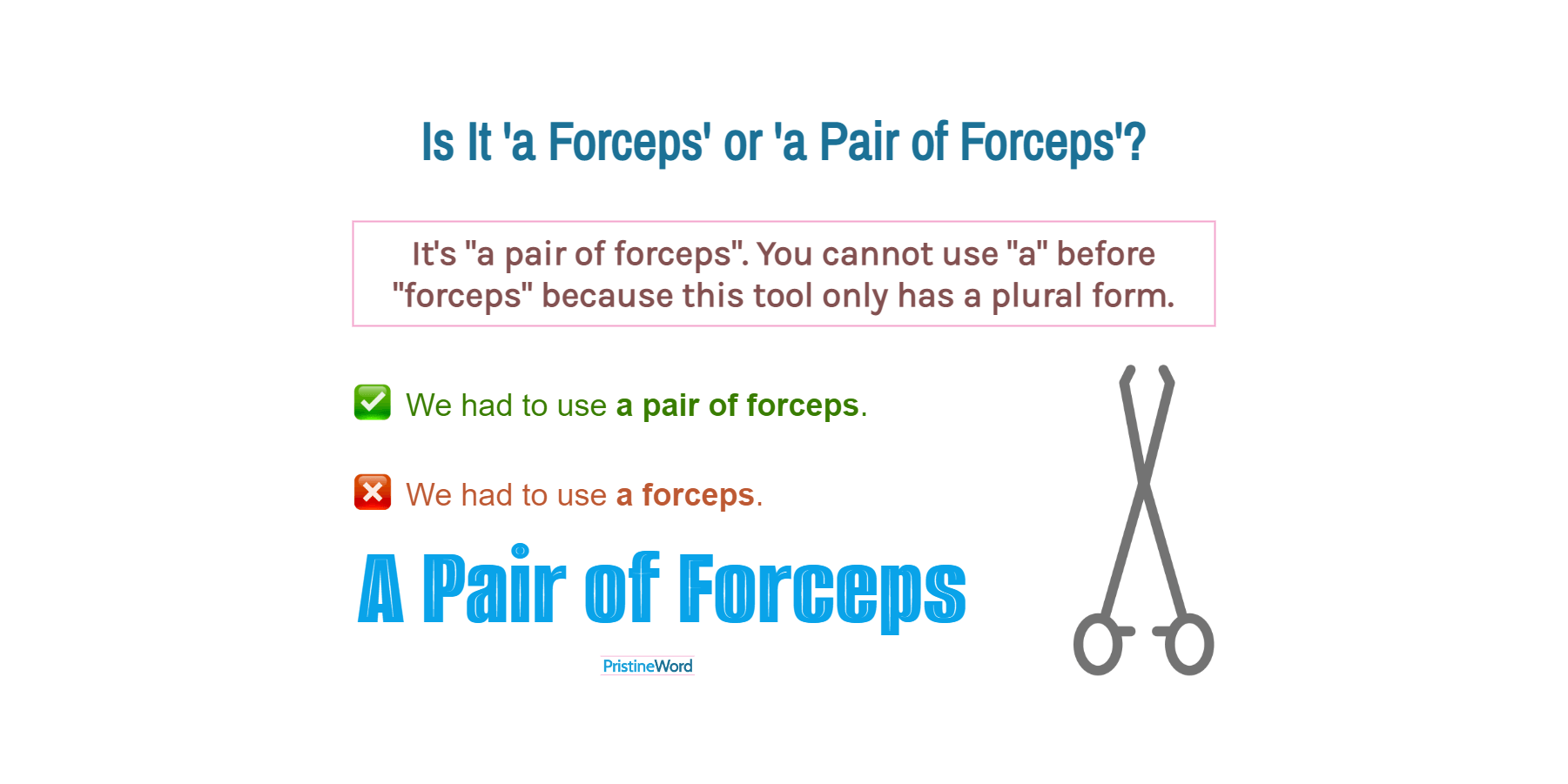 'A Forceps' or 'A Pair of Forceps'. Which Is Correct?