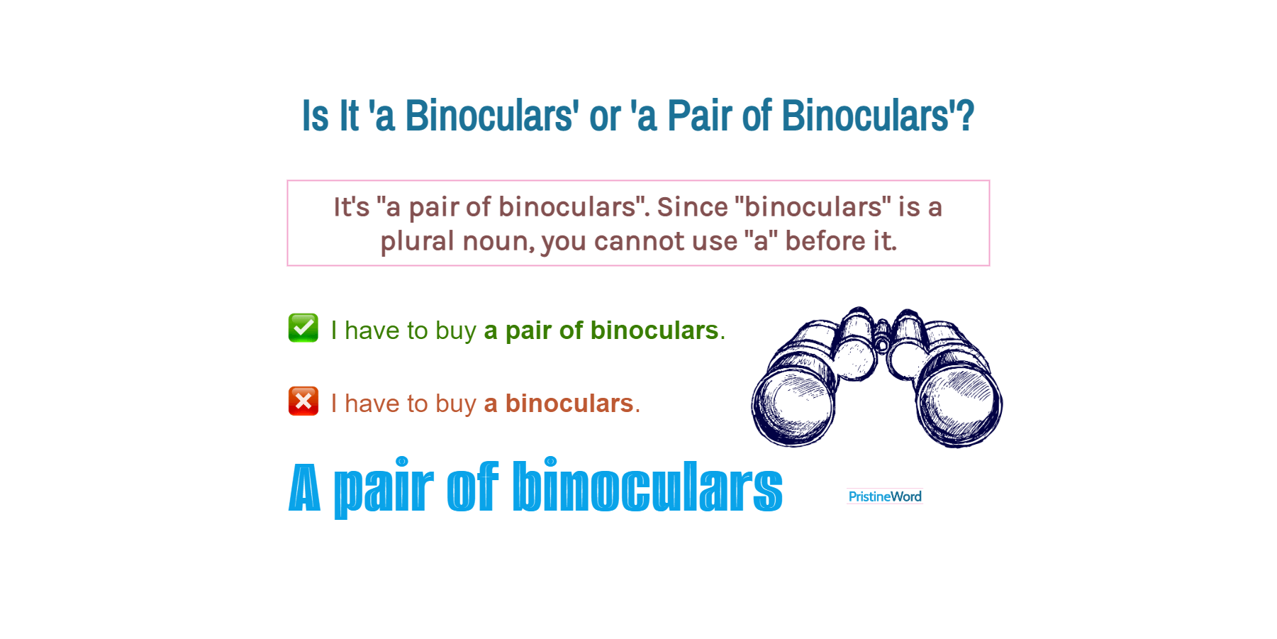 'A Binoculars' or 'a Pair of Binoculars'. Which Is Correct?