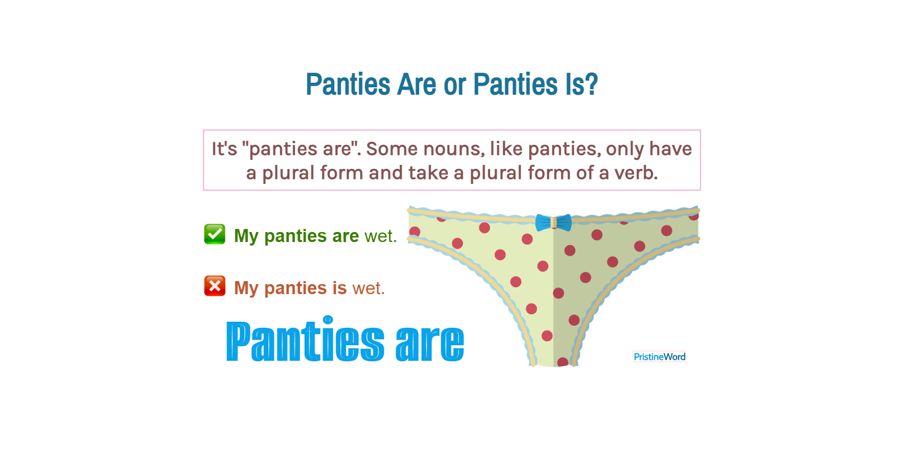 Panties Are Or Panties Is. Which Is Correct?
