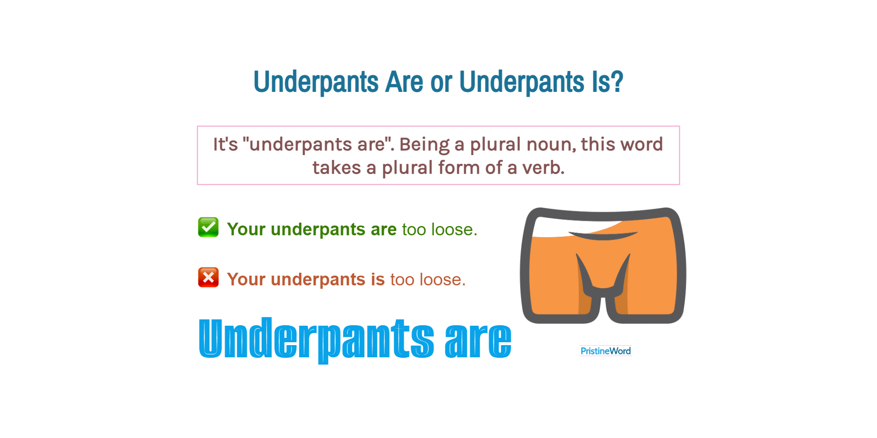 Underpants Are Or Underpants Is. Which Is Correct?