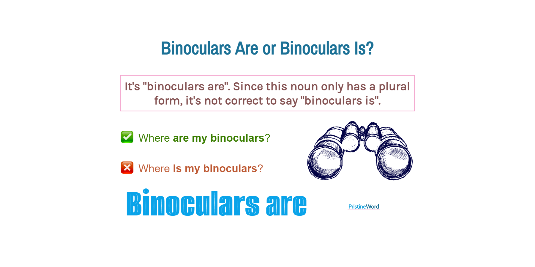 Binoculars Are Or Binoculars Is. Which Is Correct?