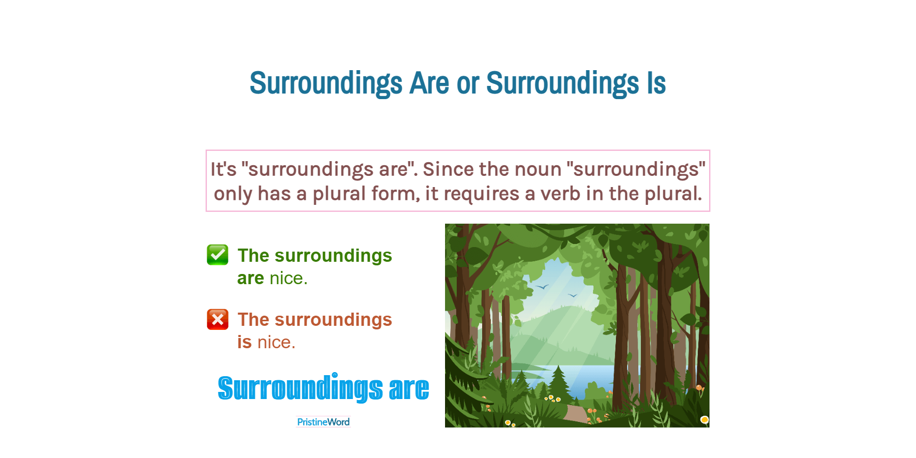 Surroundings Is or Surroundings Are