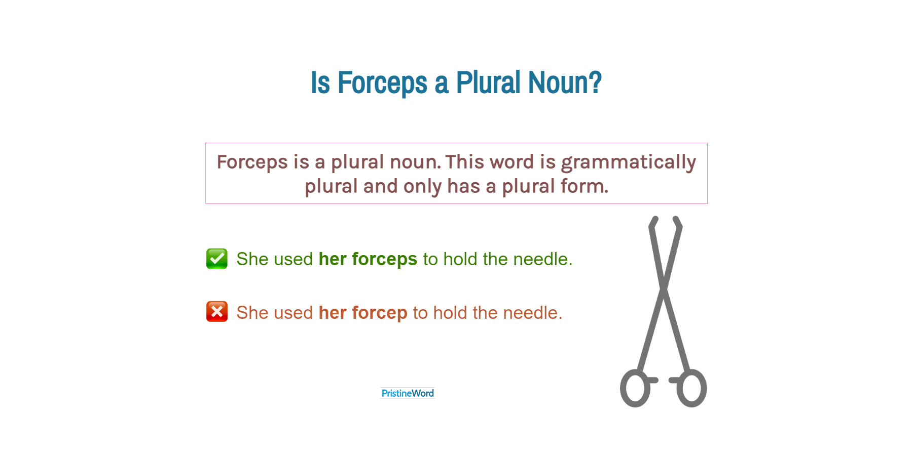 Is Forceps a Plural Noun?