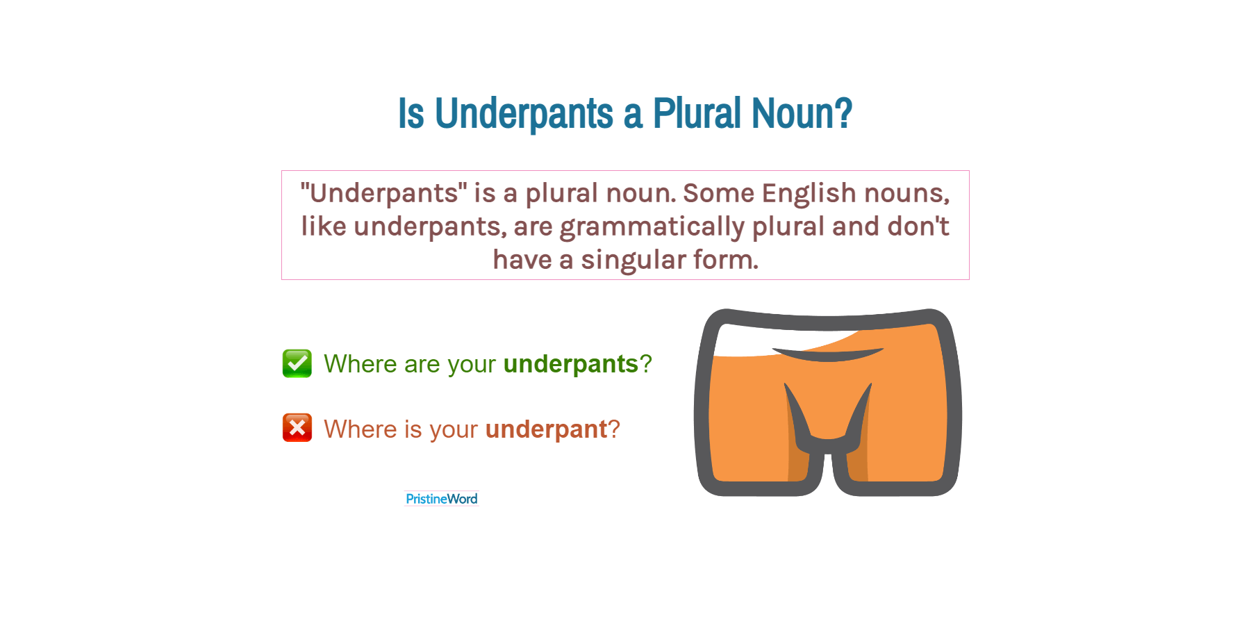Is Underpants a Plural Noun?