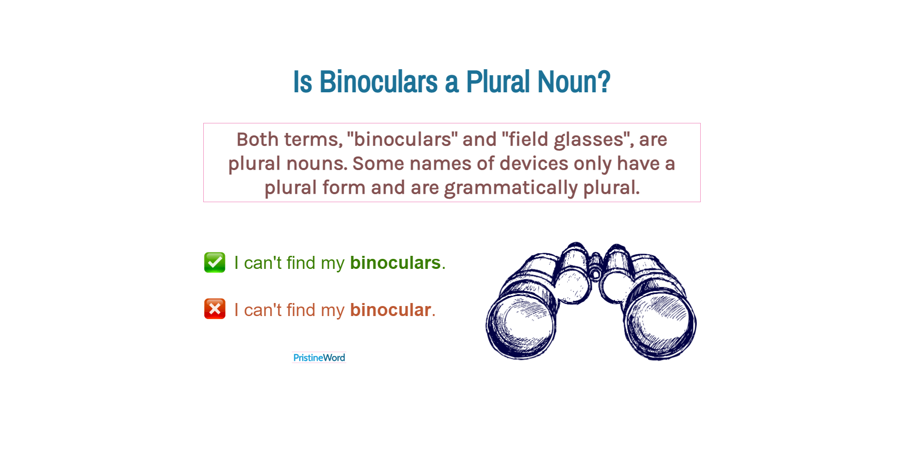 Is Binoculars a Plural Noun?