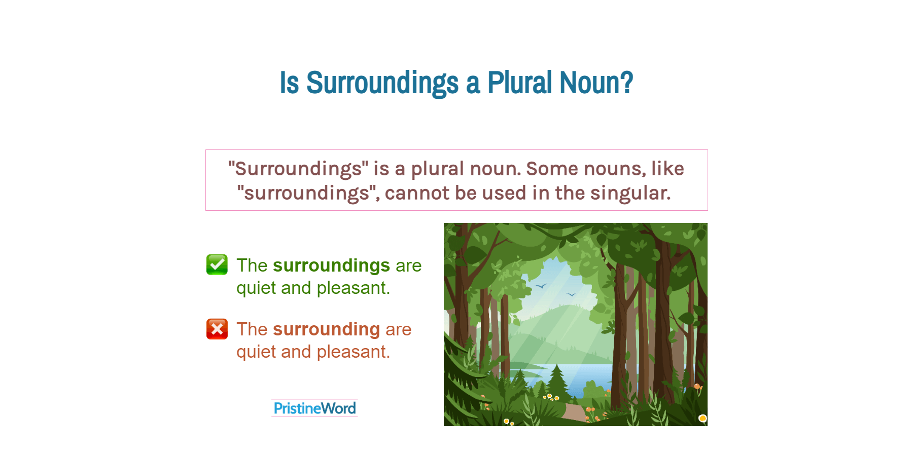 Is Surroundings a Plural Noun?