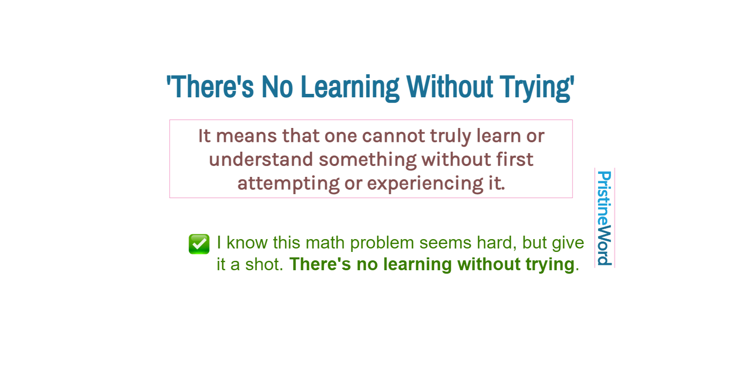 "There's No Learning Without Trying": Meaning and Usage