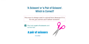 the pair of scissors is or are