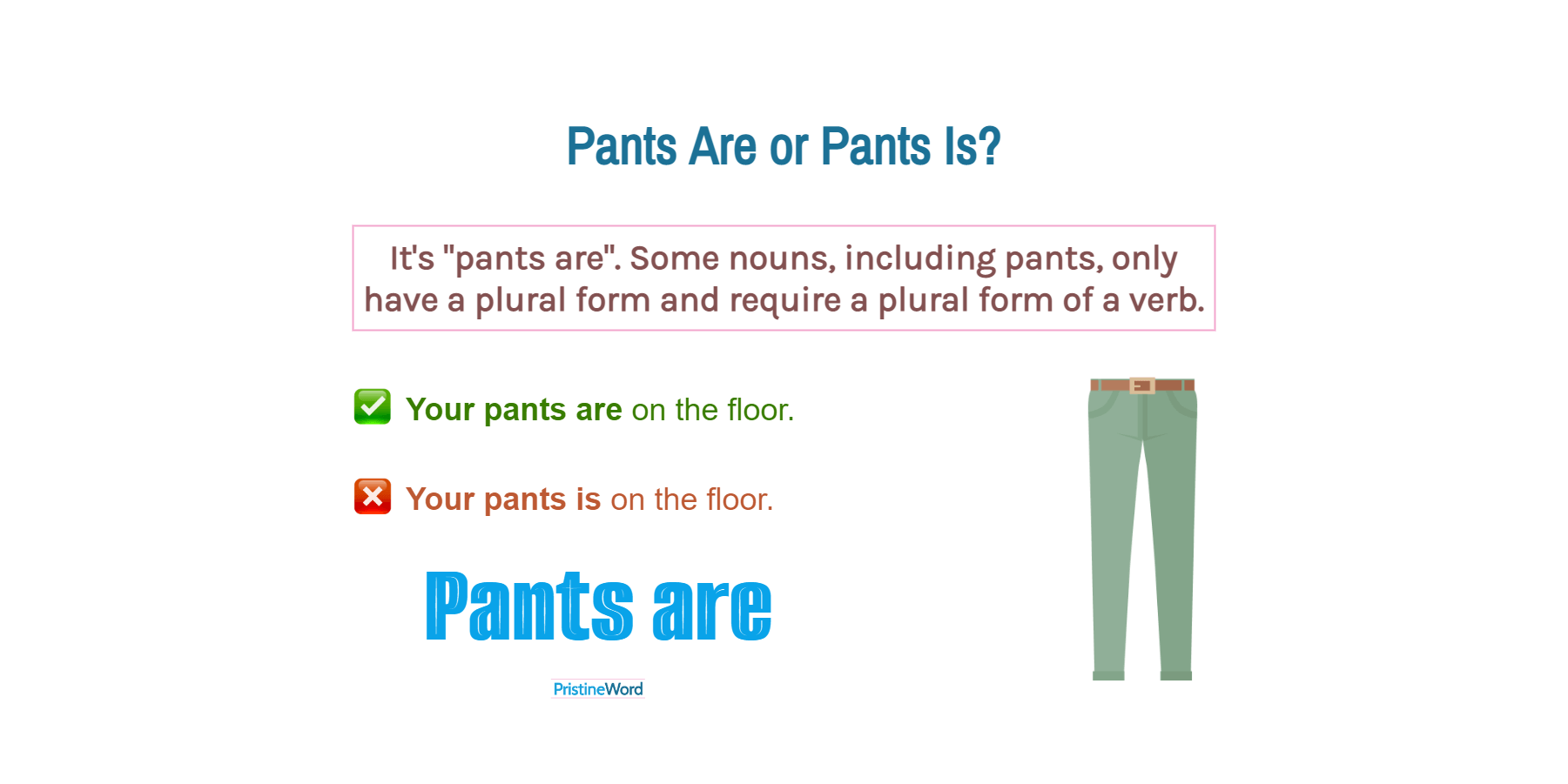 Pants Are Or Pants Is Which Is Correct pants-are-or-pants-is-which-is-correct